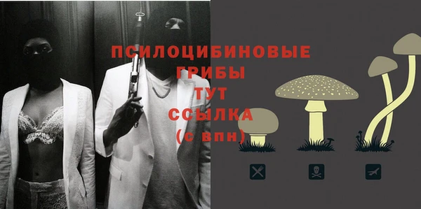 2c-b Абинск