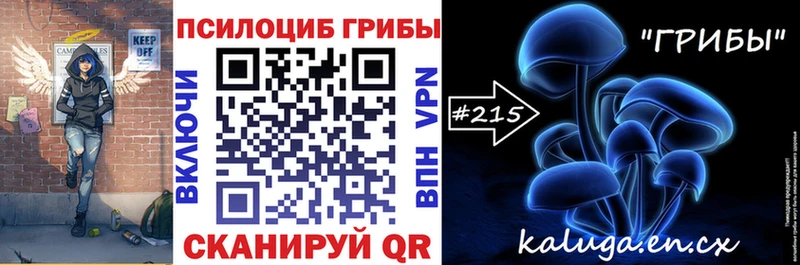 дарнет шоп  Дивногорск  Псилоцибиновые грибы мухоморы 