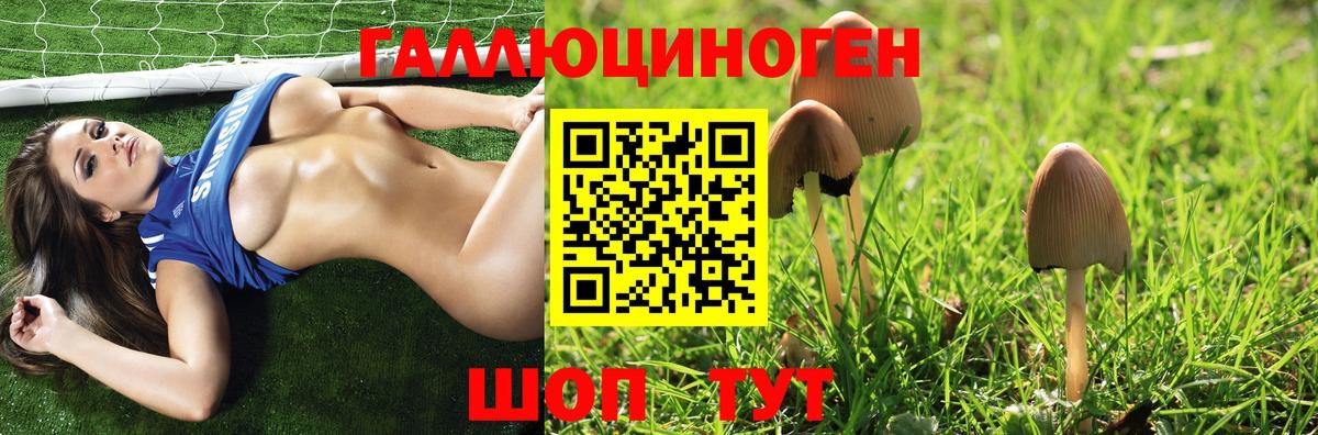 Галлюциногенные грибы Psilocybine cubensis Дивногорск