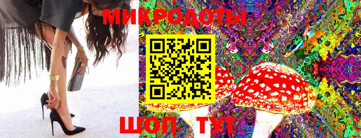 Псилоцибиновые грибы Psilocybine cubensis  Вход с VPN  Галлюциногенные грибы Psilocybine cubensis  Дивногорск 